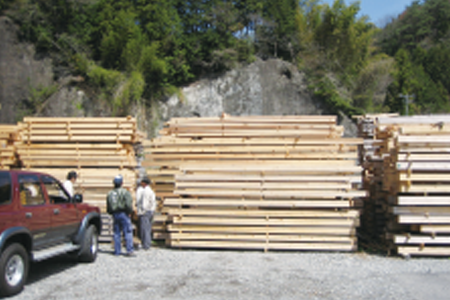 生産者材木置き場にて材木選定